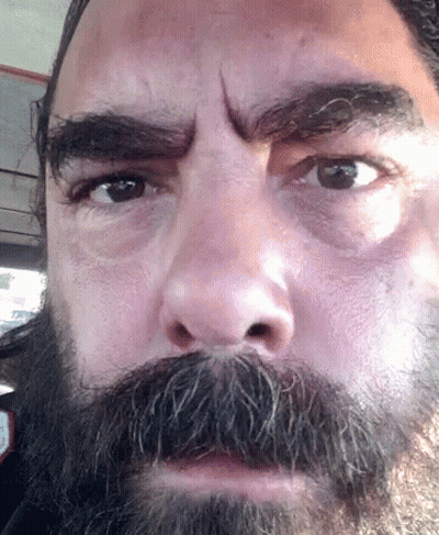 Bearded Man With Eyebrows Looking At Camera GIF