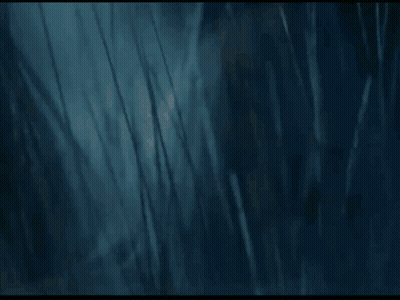 Bearded Man With Long Hair Lying Down GIF