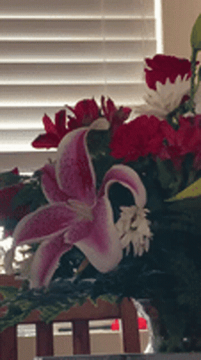Bearded Man With Mustache Says You Speak For Yourself GIF