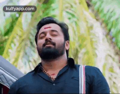 Bearded Man With Red Forehead Spot By Palm Tree GIF