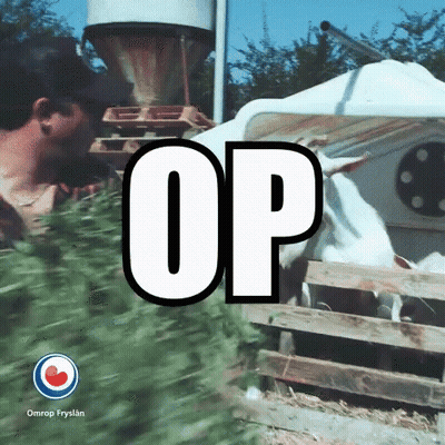Bearded Man With Tattoos Looking Over Shoulder GIF