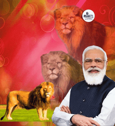 Bearded Man With Two Lions And Modi Sticker GIF