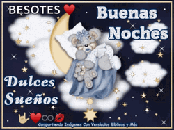 Bears Buenas Noches Feliz Noche GIF