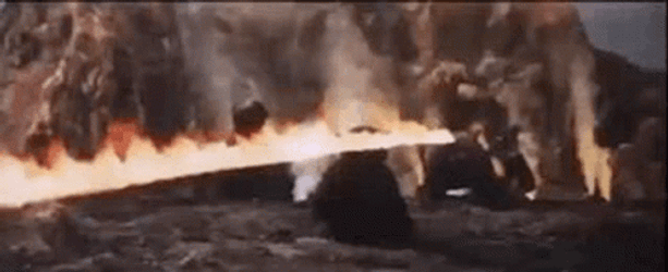 Bears Kill It With Fire GIF