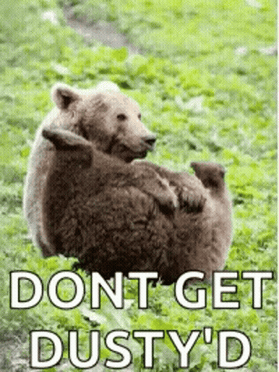 Bears Lying In Grass Don't Get Dusty GIF