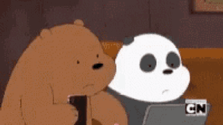 Bears Panda GIF