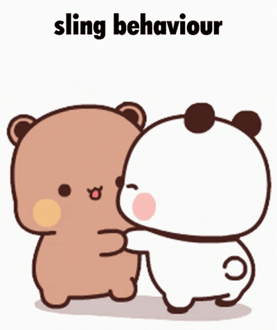 Bears Standing Next To Each Other Sling Behaviour GIF