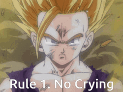 Beast Gohan Rule 1 No Crying GIF