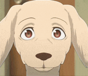 Beastars Dog GIF
