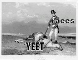 Beat A Dead Horse Meme GIF