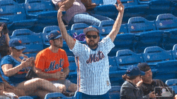 Beat La Mets Follower Rallying Crowd GIF