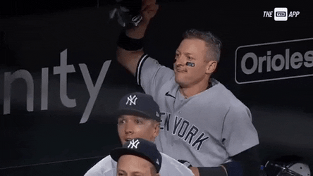 Beat La New York Yankee Athlete Cheering  GIF