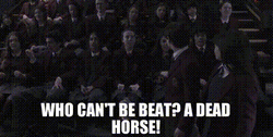 Beating A Dead Horse Is Impossible GIF