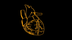 Beating Heart Neon Glow Animation GIF