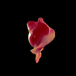 Beating Small Heart 3D Pumping Animation GIF
