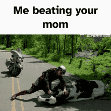 Beating Your Mom Policeman Punching Cow Meme