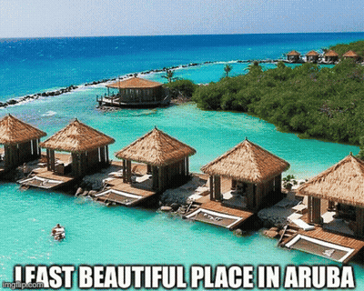 Beautiful Aruba Beach With Thatched Huts GIF