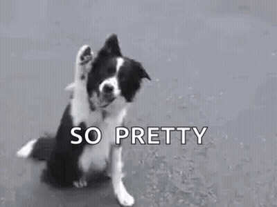 Beautiful Avianna And Lucas Friends Logo GIF