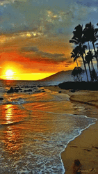 Beautiful Beach In Hawaii GIF