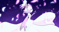 Beautiful Blaze The Cat  GIF