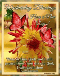 Beautiful Blessings Happy Wednesday Have A Nice Day GIF