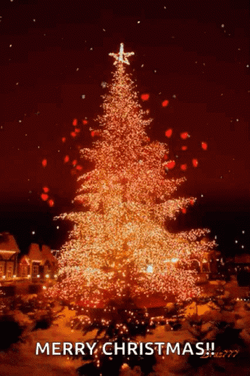 Beautiful Christmas Fire-Y Tree GIF