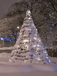Beautiful Christmas Tree Covered In Snow GIF