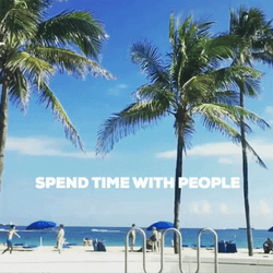 Beautiful Coconut Tree On The Beach GIF