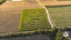 Beautiful Crop Maze GIF