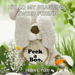 Beautiful Cute Good Morning Bear GIF