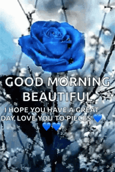 Beautiful Cute Good Morning Blue Rose GIF