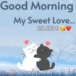 Beautiful Cute Good Morning Couple Cat GIF