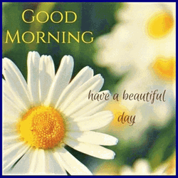 Beautiful Cute Good Morning Flowers GIF