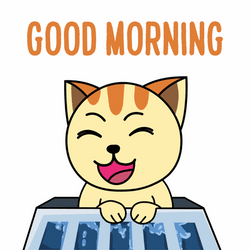Beautiful Cute Good Morning Happy Cat GIF
