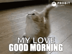 Beautiful Cute Good Morning My Love GIF