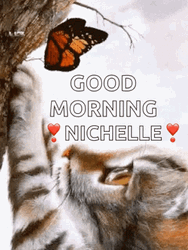 Beautiful Cute Good Morning Nichelle GIF