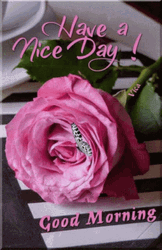Beautiful Cute Good Morning Pink Rose GIF