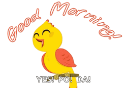 Beautiful Cute Good Morning Singing Bird GIF