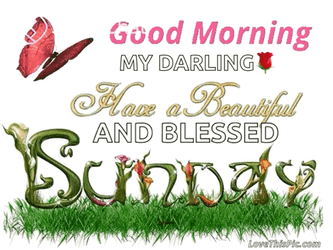Beautiful Cute Good Morning Sunday GIF
