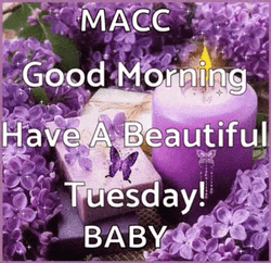 Beautiful Cute Good Morning Tuesday GIF