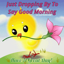 Beautiful Cute Good Morning Yellow Chick GIF