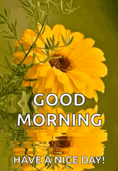 Beautiful Cute Good Morning Yellow Flower GIF