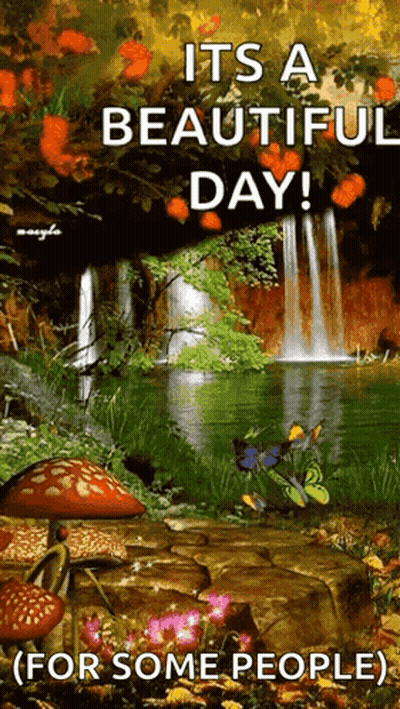Beautiful Day For Some People GIF