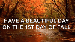 Beautiful Day Happy Fall Sunday GIF