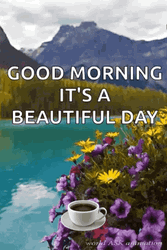Beautiful Day Hello Happy Monday GIF