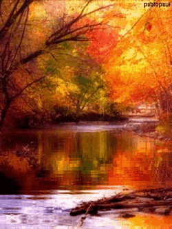 Beautiful Day Sunshine GIF