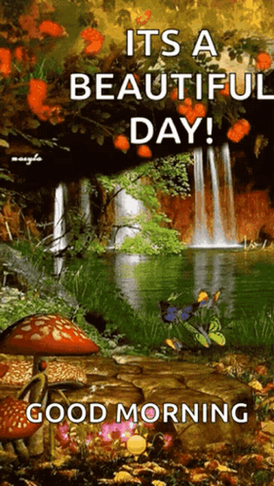 Beautiful Day With Waterfall And Mushrooms GIF