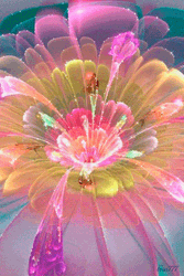 Beautiful Flowers Fractal Everywhere GIF