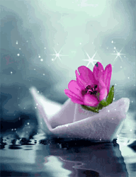 Beautiful Flowers My Little Love Boat GIF