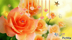 Beautiful Flowers Orange Roses Hearts GIF